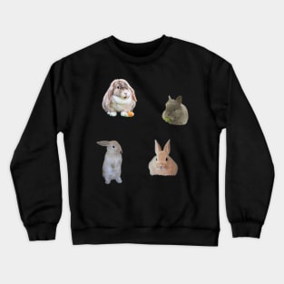 Rabbit Sticker pack 4 Crewneck Sweatshirt